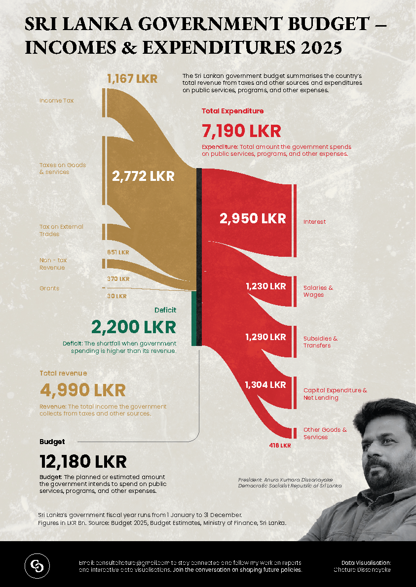 Sri Lanka Government Budget – UX & Data Visualization Breakdown