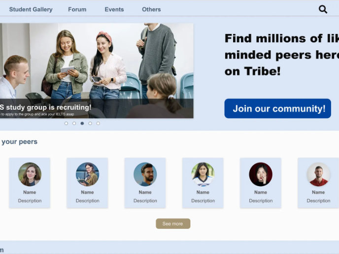 Website design project