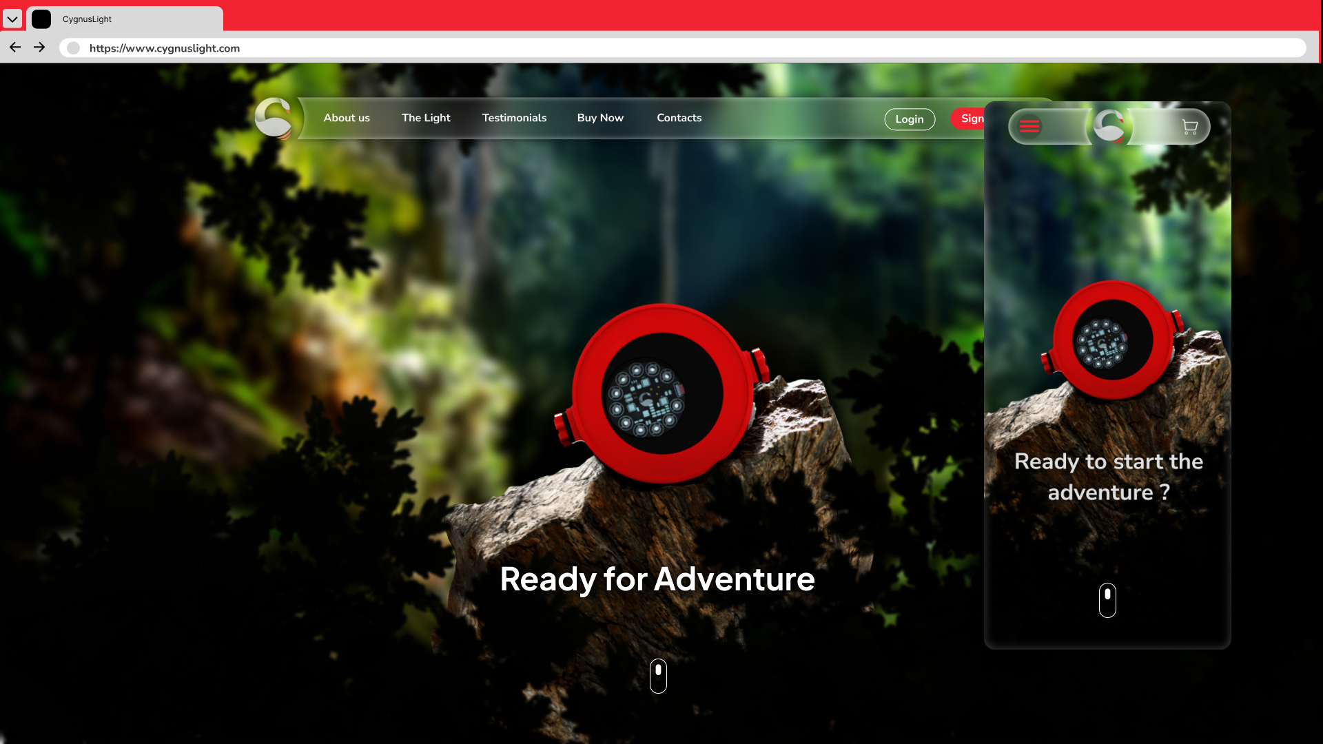 Cygnus Light UX/UI Case Study