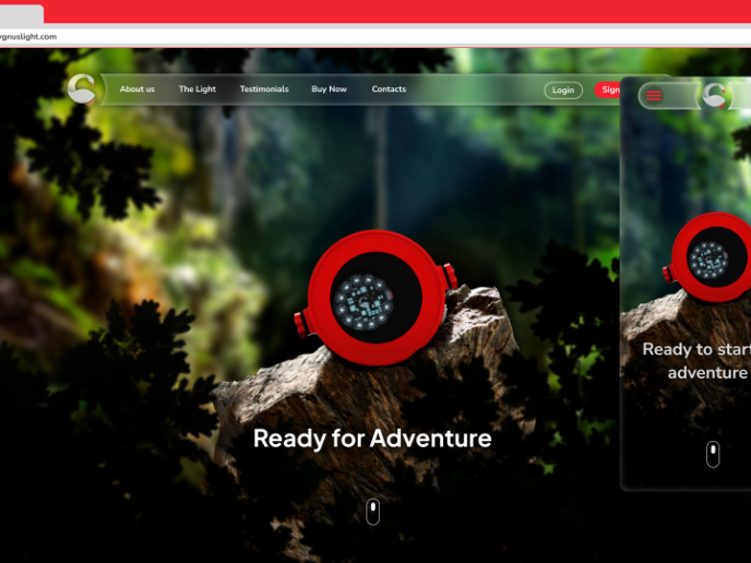 Cygnus Light UX/UI Case Study